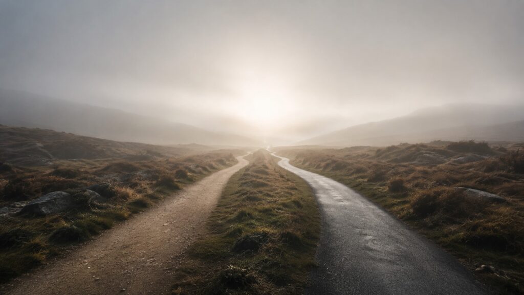 Misty paths through a tranquil landscape
